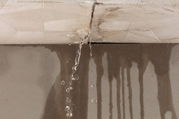 Professional Water Extraction technician working in Mindoro, WI